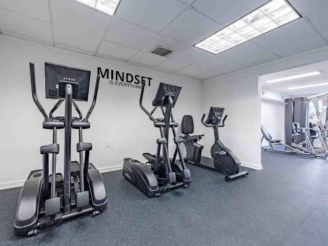 Apartment for rent in Tampa, Florida