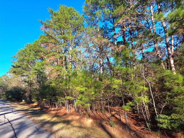Land for sale in Walker, Texas