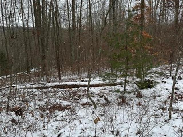 Land for sale in Caldwell, West Virginia