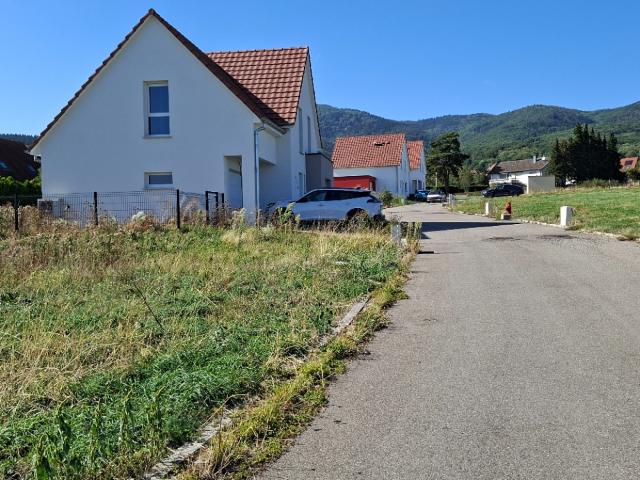 Terrain vente à Wattwiller, Collectivité européenne d'Alsace
