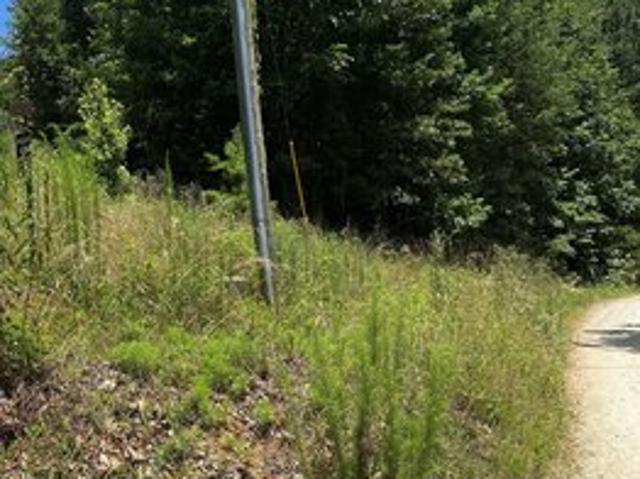 Land for sale in Clermont, Hall County