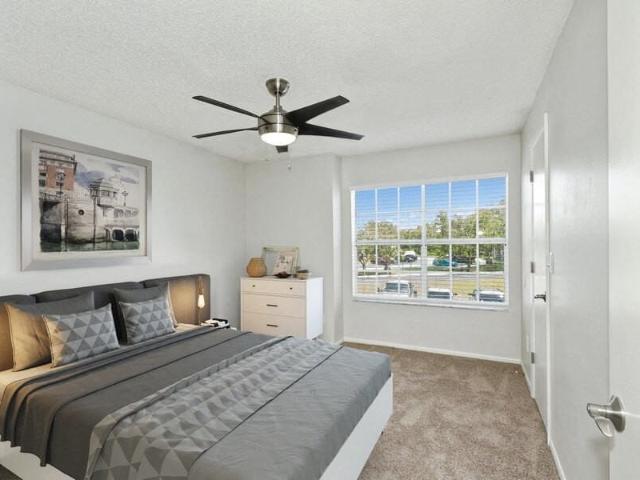 Apartment for rent in Naples, Florida