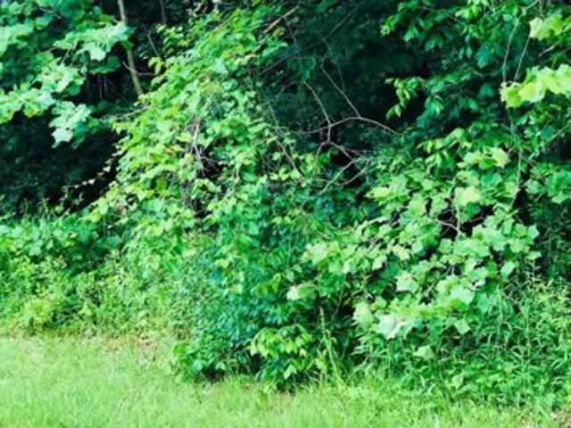 Land for sale in Macon Land for sale in Macon