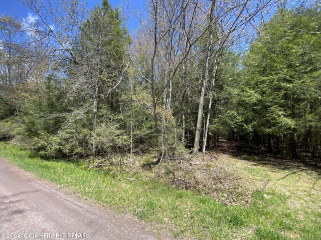 Land for sale in Cresco, Pennsylvania