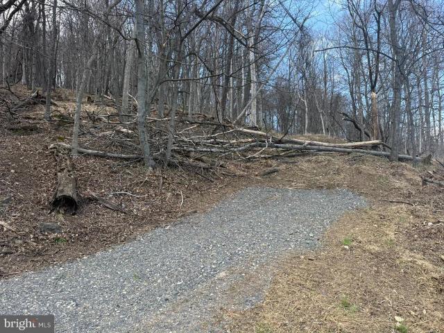 Land for sale in Keyser, West Virginia