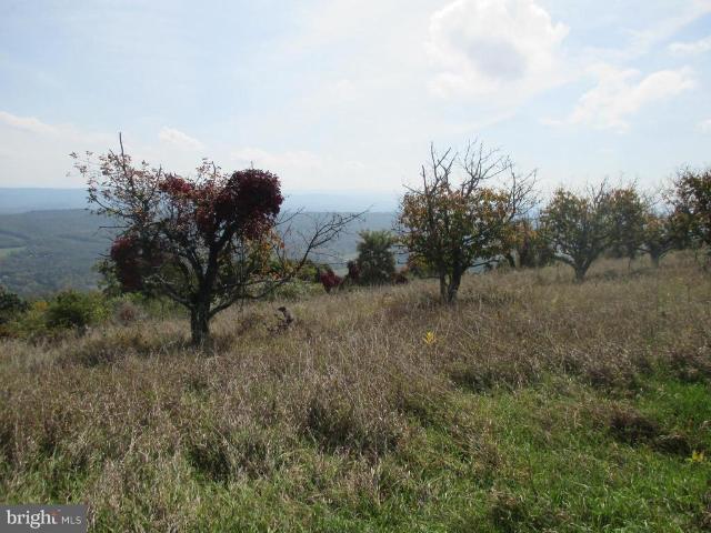 Land for sale in Keyser, West Virginia