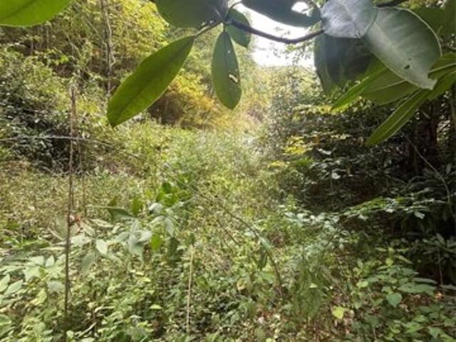 Land for sale in Maggie Valley, North Carolina