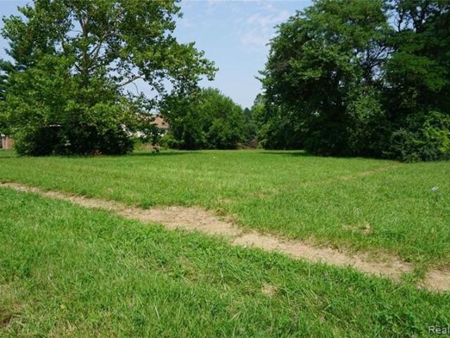 Land for sale in Inkster