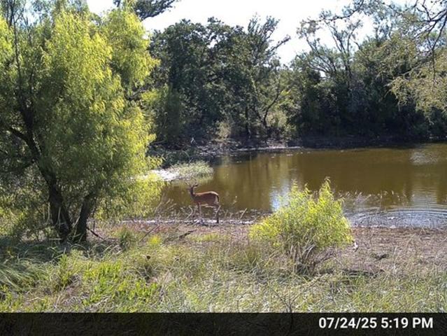 Land for sale in Breckenridge, Texas