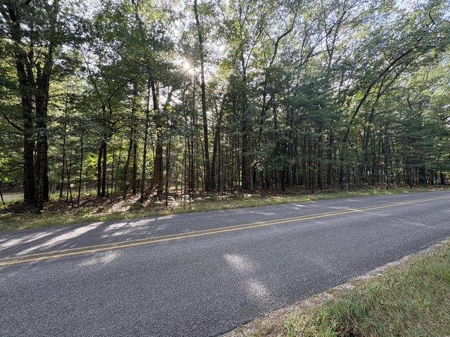 Land for sale in Pentwater, Oceana County
