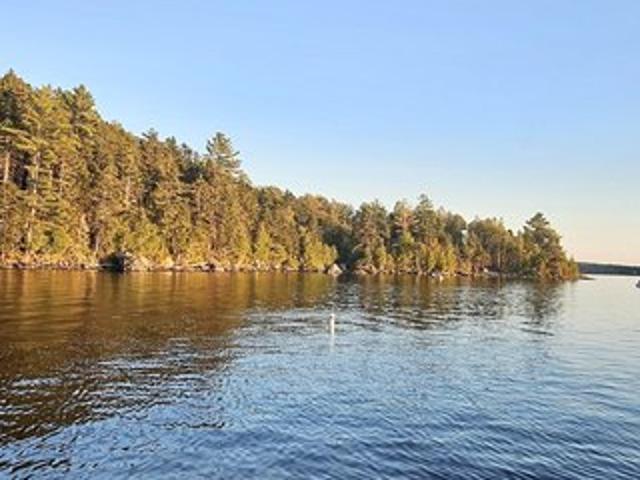 Land for sale in Greenville, Maine