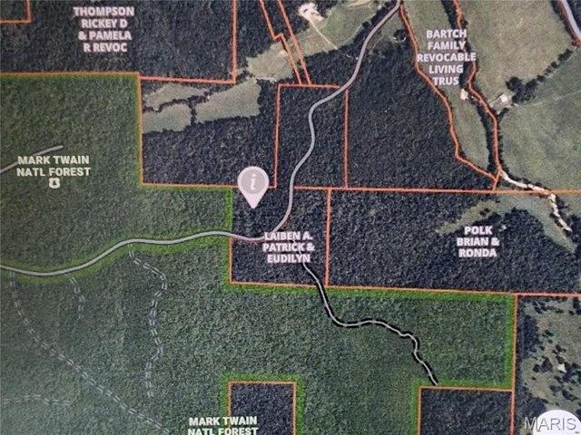 Land for sale in Piedmont, Missouri