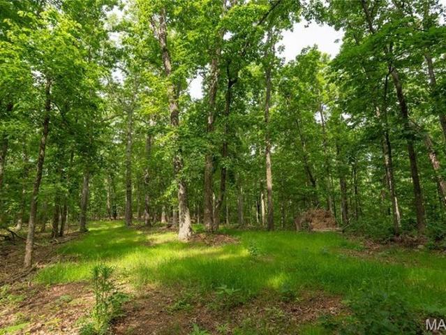 Land for sale in Piedmont, Missouri