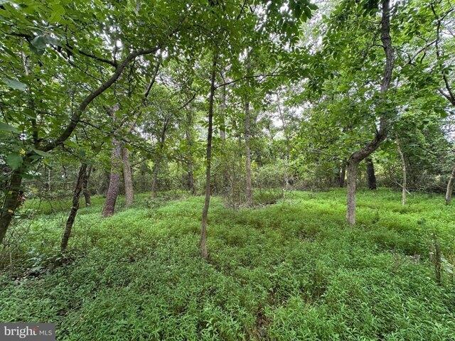 Land for sale in South Mountain, Pennsylvania