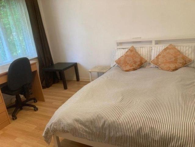 House for rent in Mount Pleasant, Fole