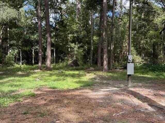 Land for sale in Midway, Georgia