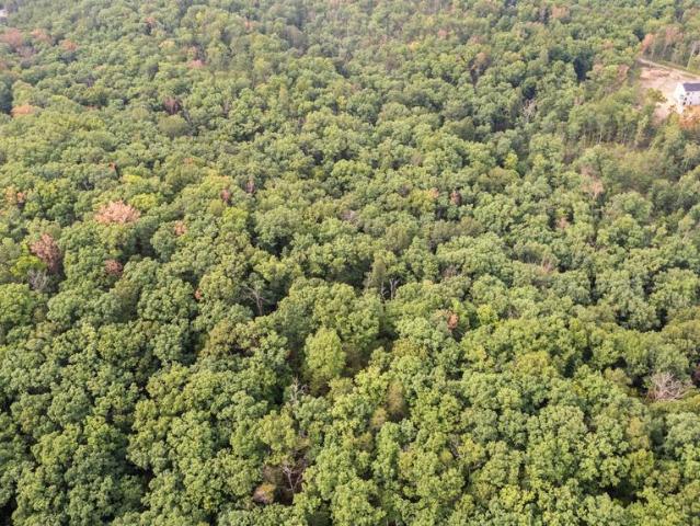 Land for sale in Hedgesville, Berkeley County