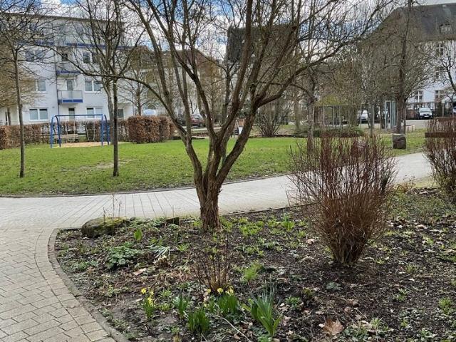 Apartment mieten in Marburg, Hessen