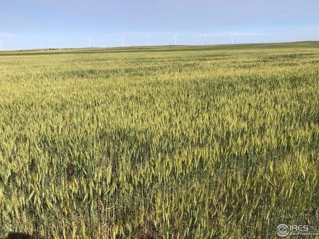Farm for sale in Colorado