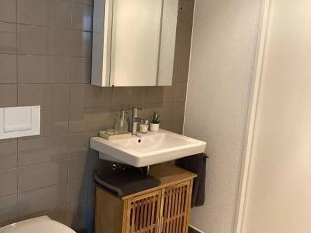 Apartment mieten in Einigen, Zürich