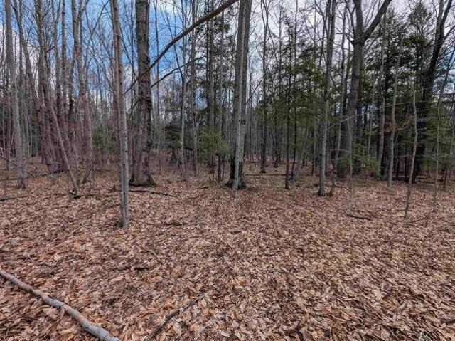 Land for sale in New Hampshire