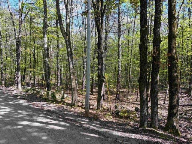Land for sale in New Hampshire