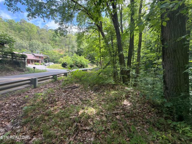 Land for sale in Tennessee