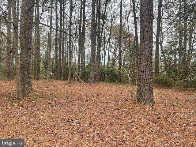 Land for sale in Virginia