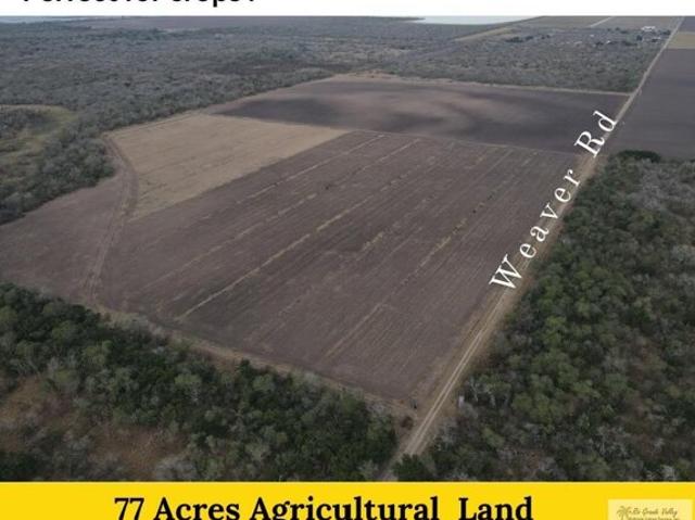 Land for sale in San Benito, Texas
