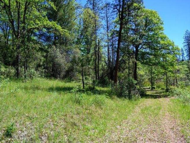 Land for sale in Weaverville, California