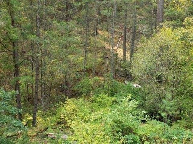 Land for sale in Weaverville, California
