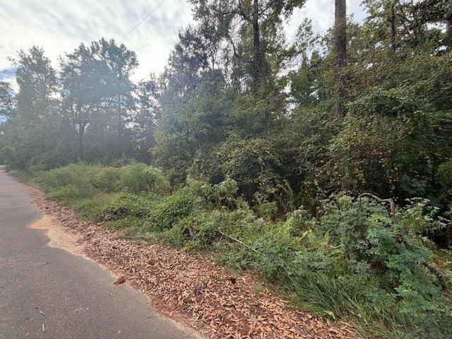 Land for sale in Ellisville, Jones County
