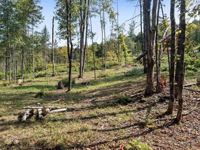 Land for sale in Craftsbury, Vermont
