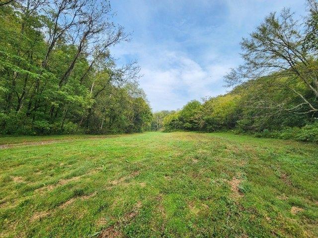 Land for sale in Tennessee