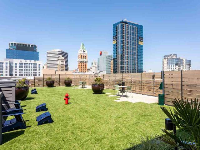 Apartment for rent in Oakland, California