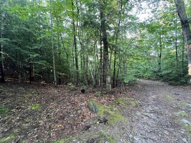 Land for sale in New Hampshire
