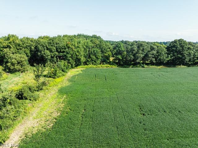 Land for sale in Centerburg, Knox County
