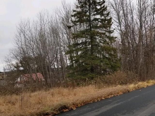 Land for sale in Limestone, Maine