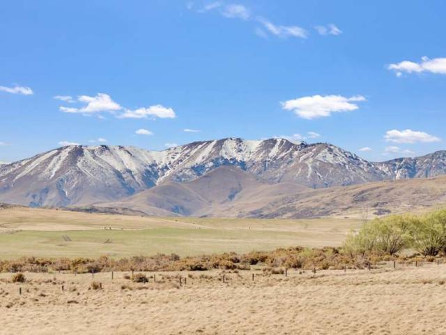 Property for sale in Ranfurly, Maniototo Community