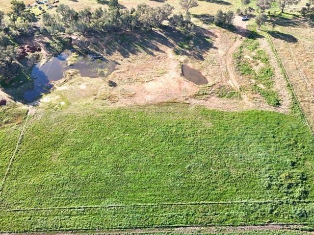 Land for sale in Grenfell, New South Wales