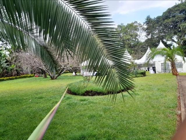 Commercial for rent in Karen, Kiambu