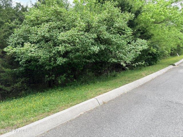 Land for sale in Tennessee