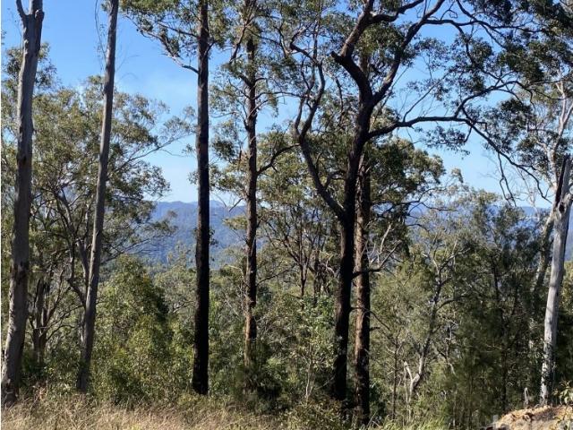 Property for sale in East Kempsey, New South Wales