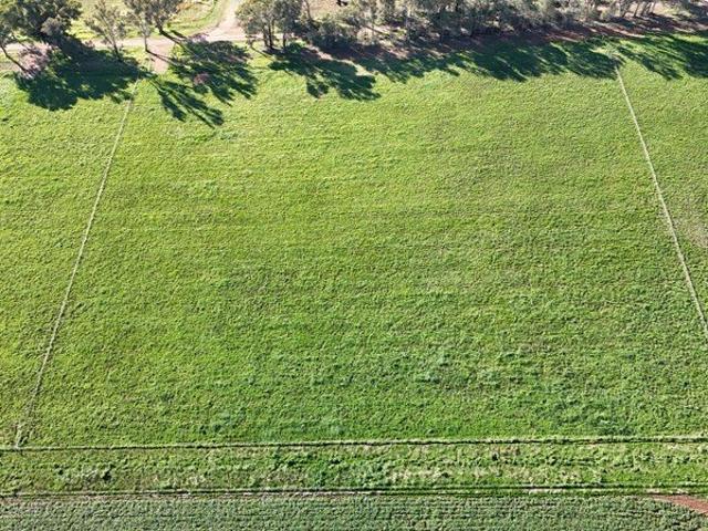 Land for sale in Grenfell, New South Wales