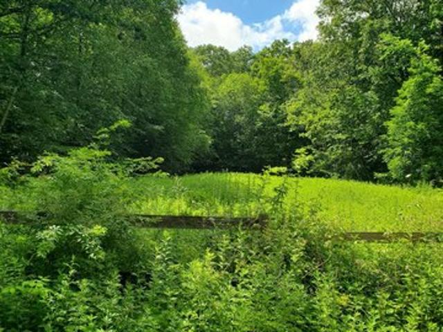 Land for sale in Eastford, Connecticut