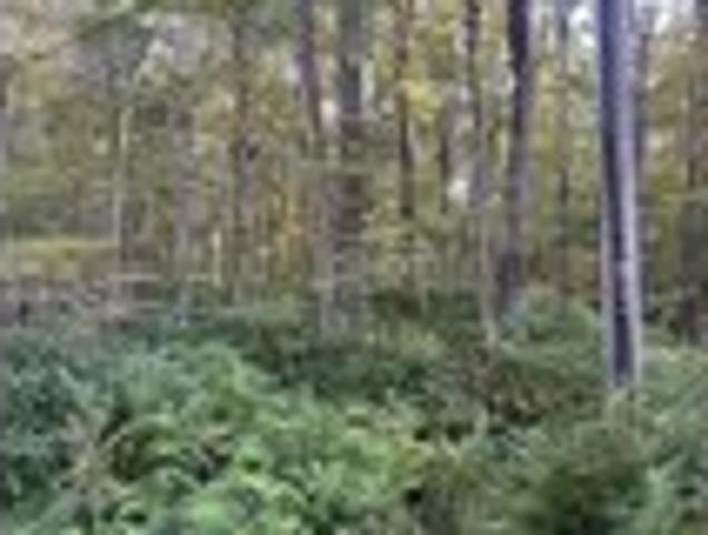 Land for sale in Eastford, Connecticut