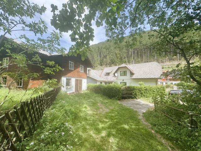 Haus kaufen in Puchberg am Schneeberg, Niederösterreich