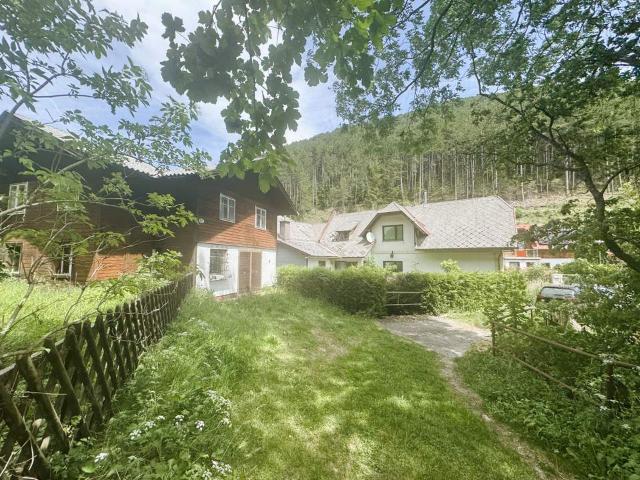 Haus kaufen in Neunkirchen, Niederösterreich