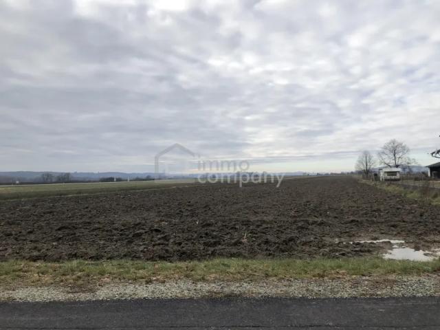 Grundstück kaufen in Weichselbaum, Burgenland