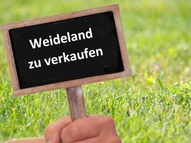 Erdgeschosswohnung kaufen in Friedeburg, Landkreis Wittmund